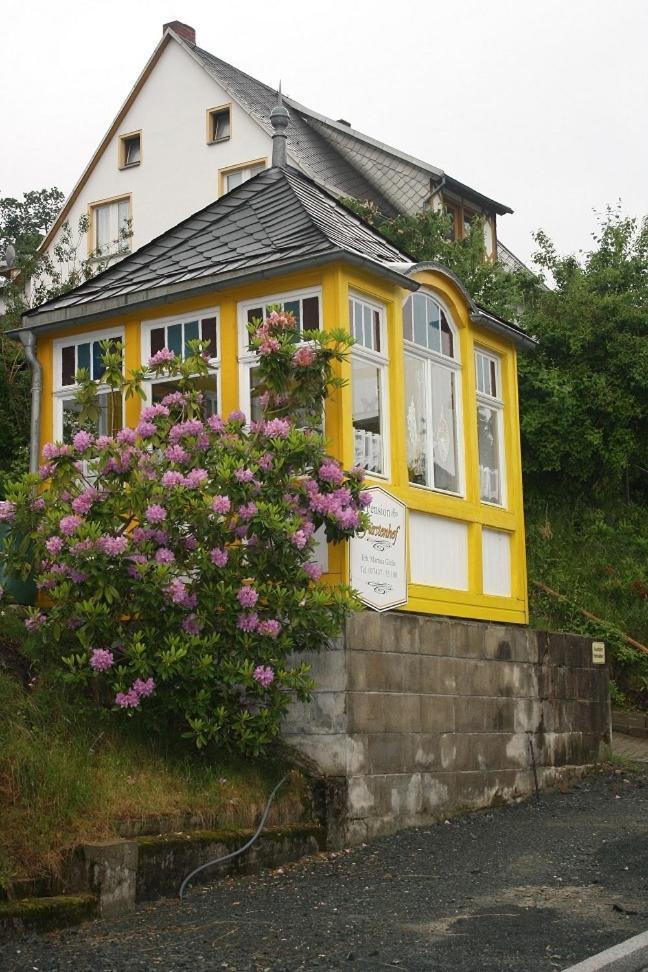 Pension Fuerstenhof Bad Elster Exterior foto